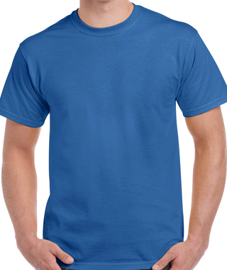 Gildan Color Tee 2X-5X (Heavy Cotton) - JD's Tees & Vinyl